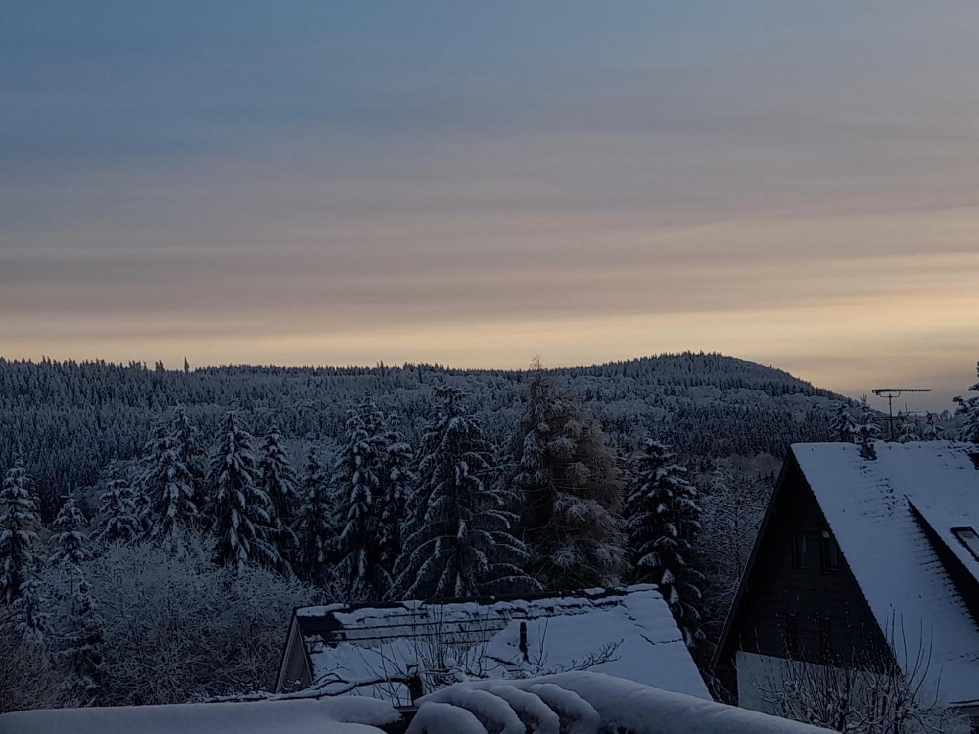 Fewo Naturgetreu Медебах Екстер'єр фото